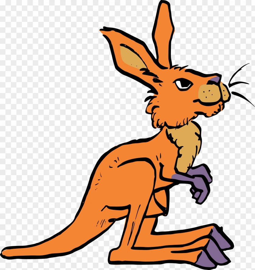 Kangaroo Macropodidae Clip Art PNG