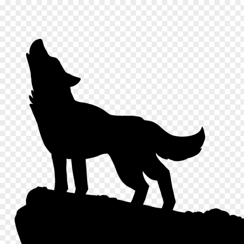 Silhouettes Gray Wolf Silhouette Drawing Clip Art PNG