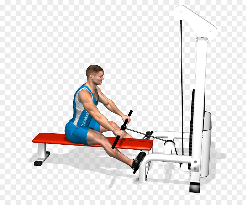 Totem Exercise Fitness Centre Bent-over Row Muscle PNG