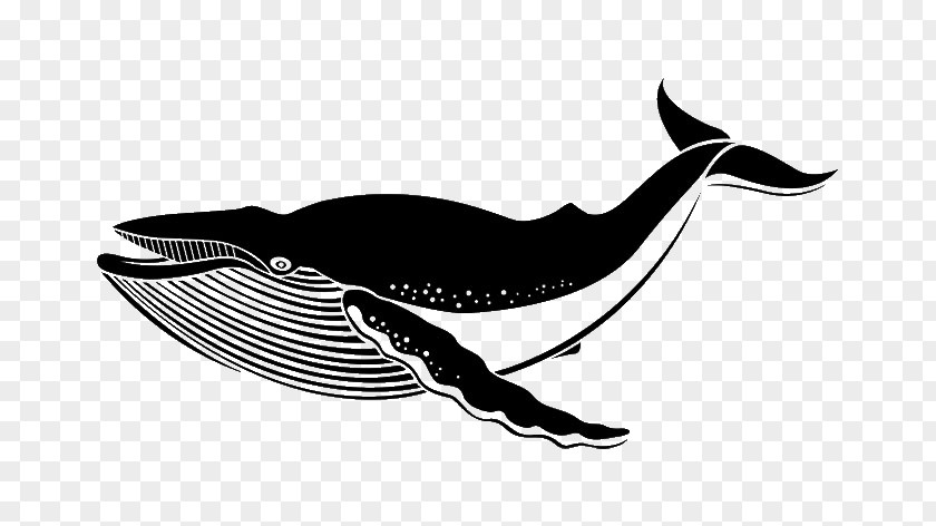 Whale Wall Decal Sticker Blue PNG