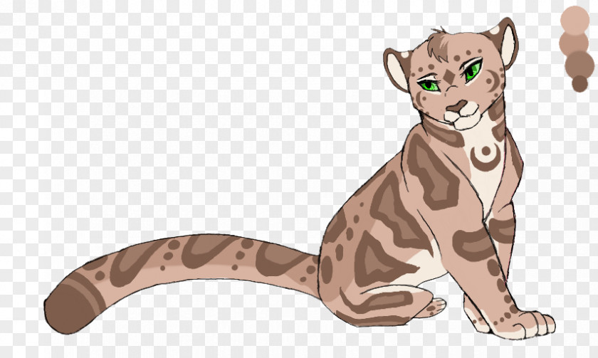 Cat Tiger Lion Snow Leopard PNG