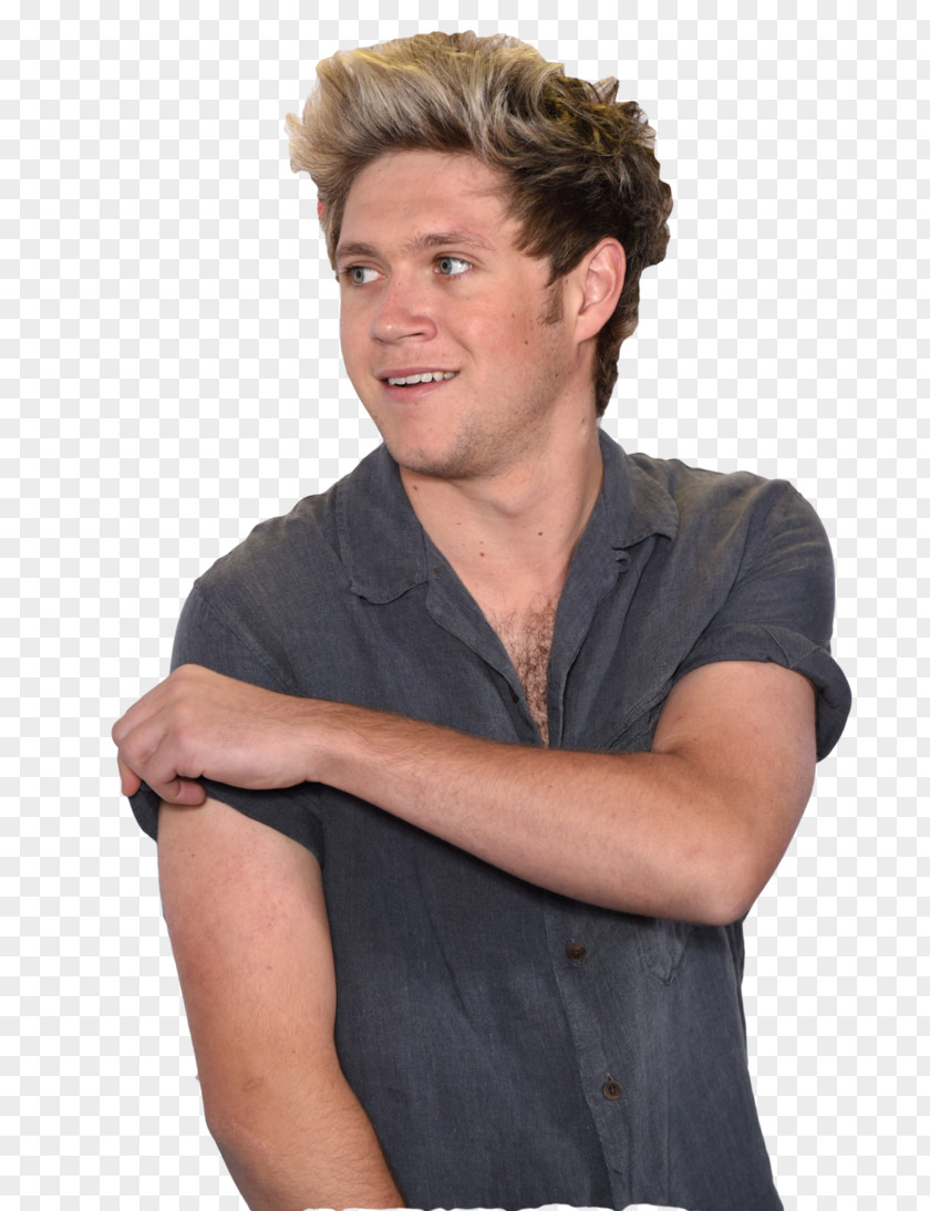 Direction Niall Horan One Midnight Memories PNG