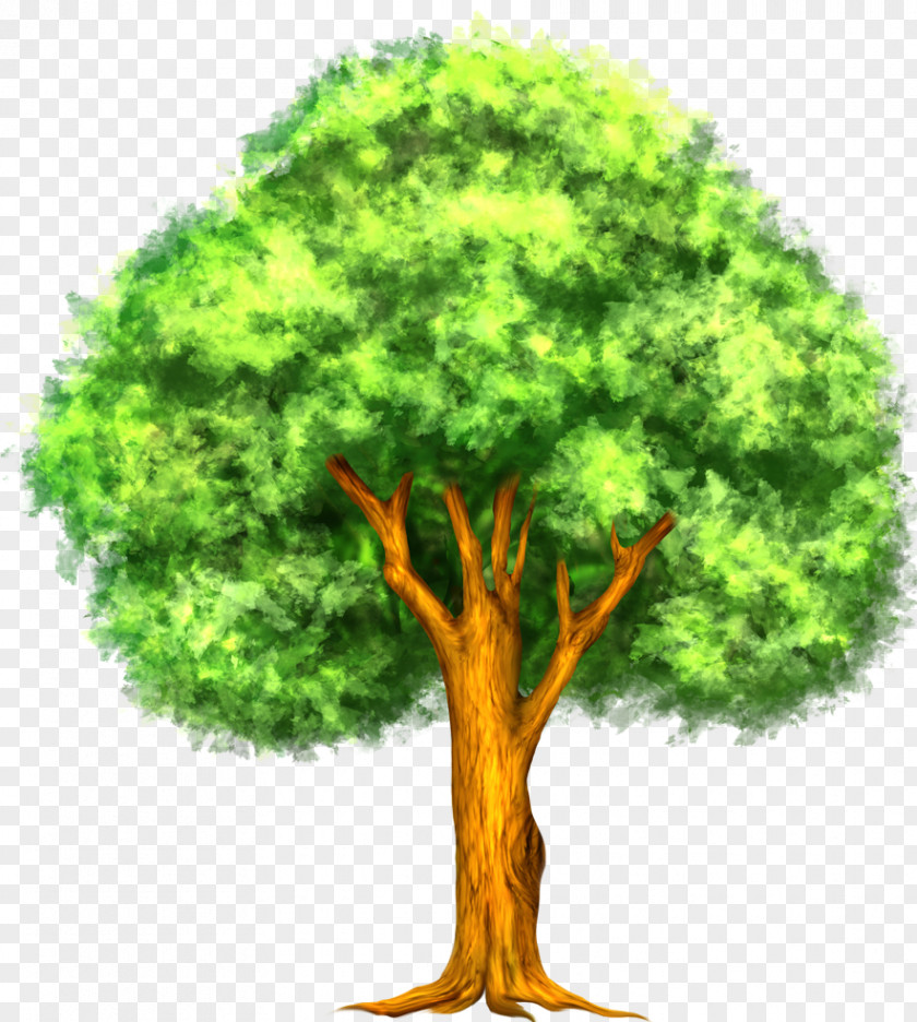 Tree Clip Art Openclipart Free Content PNG