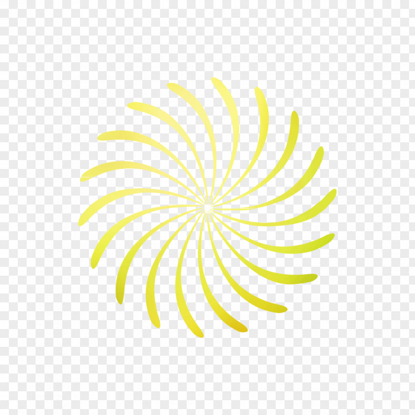 Yellow Font Line Flowering Plant Leaf PNG