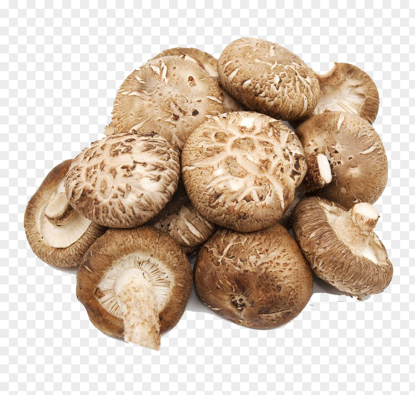 Delicious Fresh Mushrooms Yes Produce Resistant Starch Prebiotic Potato PNG