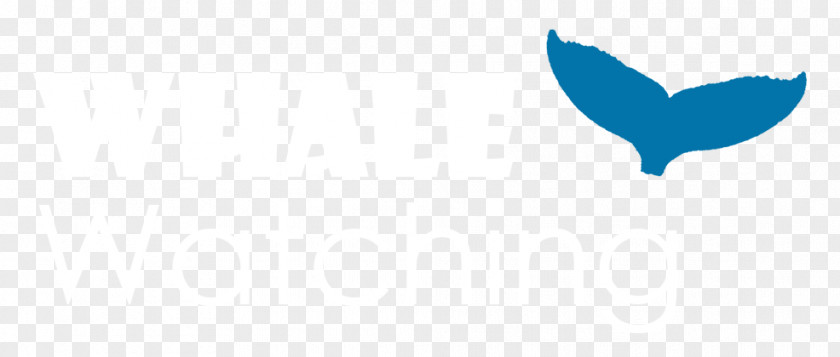 Whale Watching Logo Desktop Wallpaper Computer Line Font PNG