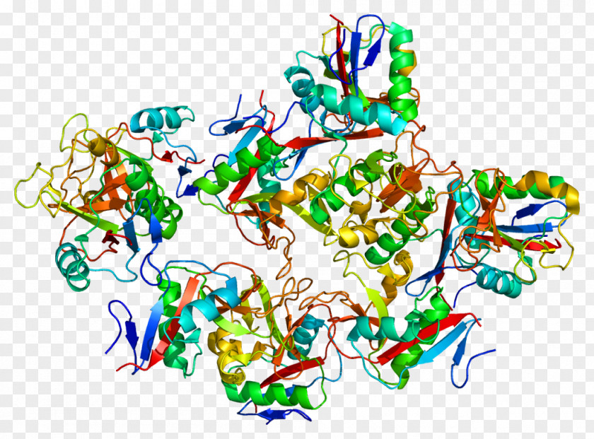 DC-SIGN C-type Lectin Dendritic Cell Cluster Of Differentiation PNG