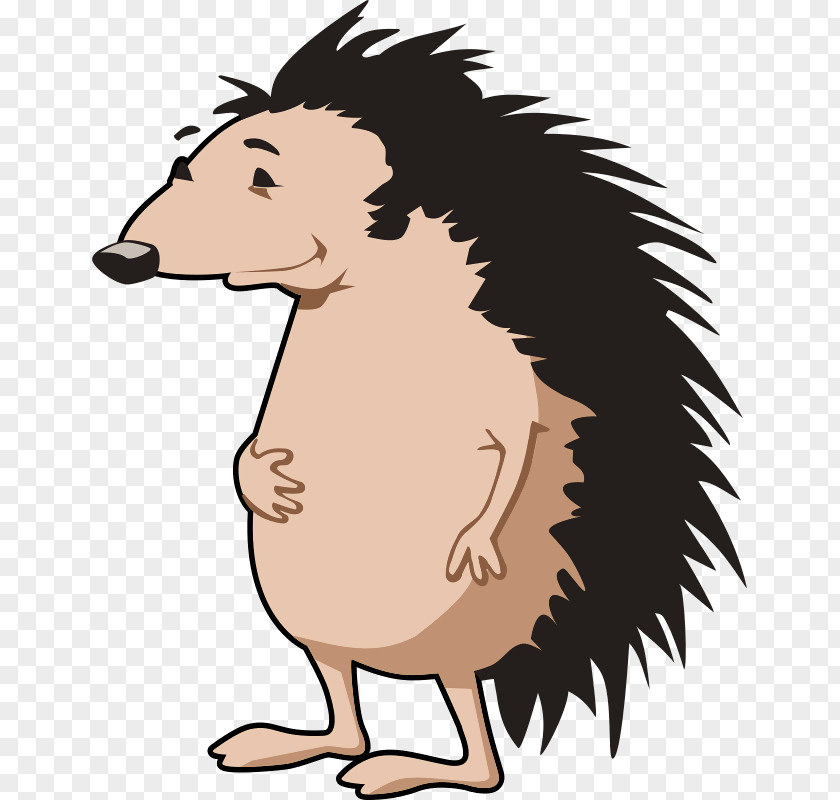 Hedgehogs Eat Hedgehog Free Content Clip Art PNG