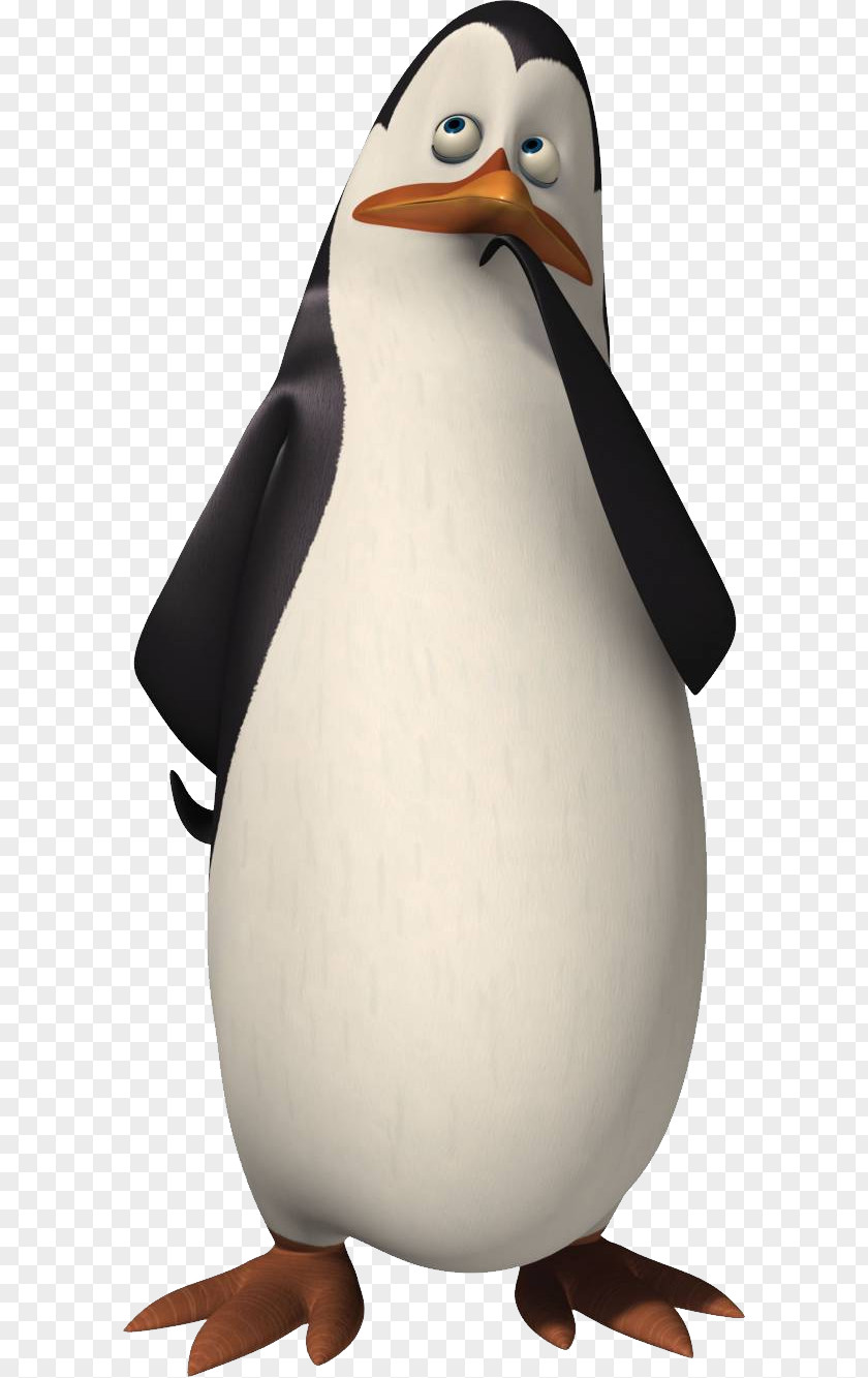 Madagascar Penguins Skipper Kowalski Charming Villain DreamWorks Animation PNG