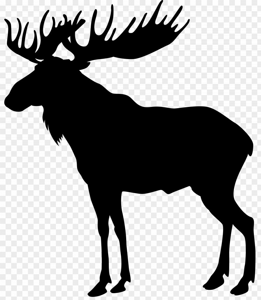 Moose Silhouette Clip Art Image Deer Elk PNG