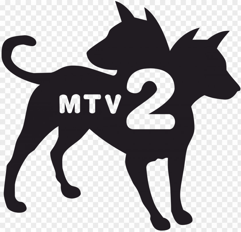 MTV2 Viacom Media Networks Logo TV Television PNG