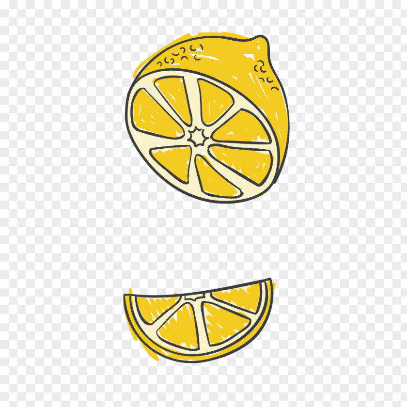 Vector Painted Lemon Euclidean PNG