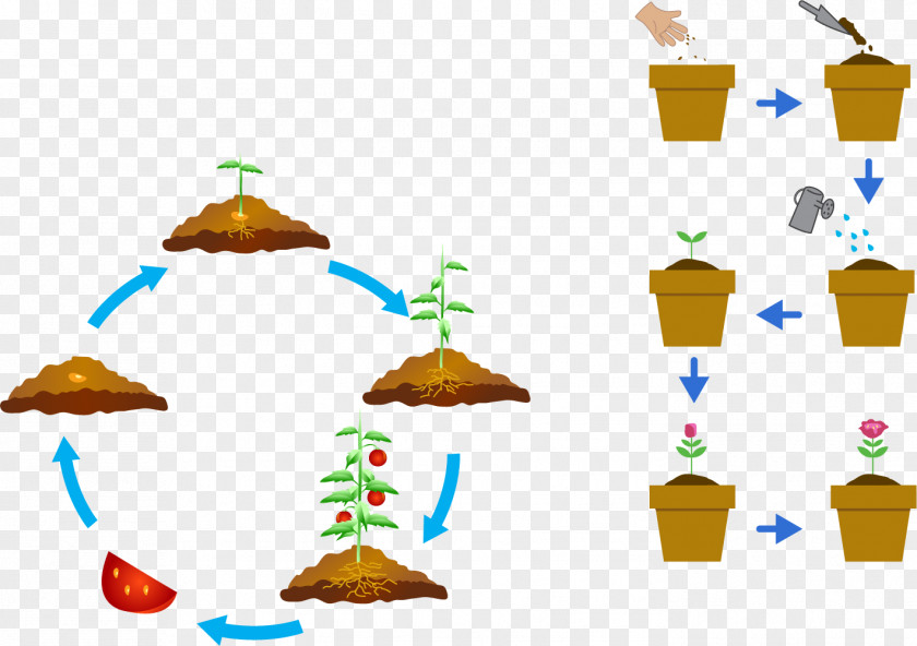 Air Soil Circulation System Plant Development Seed Clip Art PNG