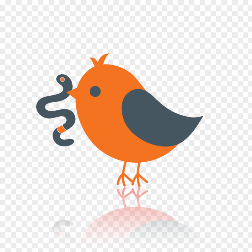 Birds Bird Clip Art PNG