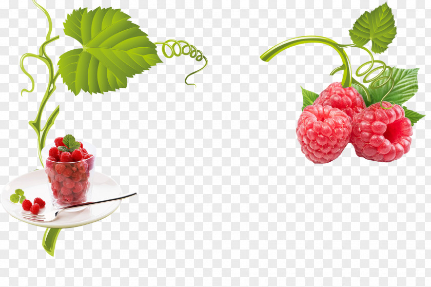 Fruit Raspberry And Strawberry Frutti Di Bosco Download PNG