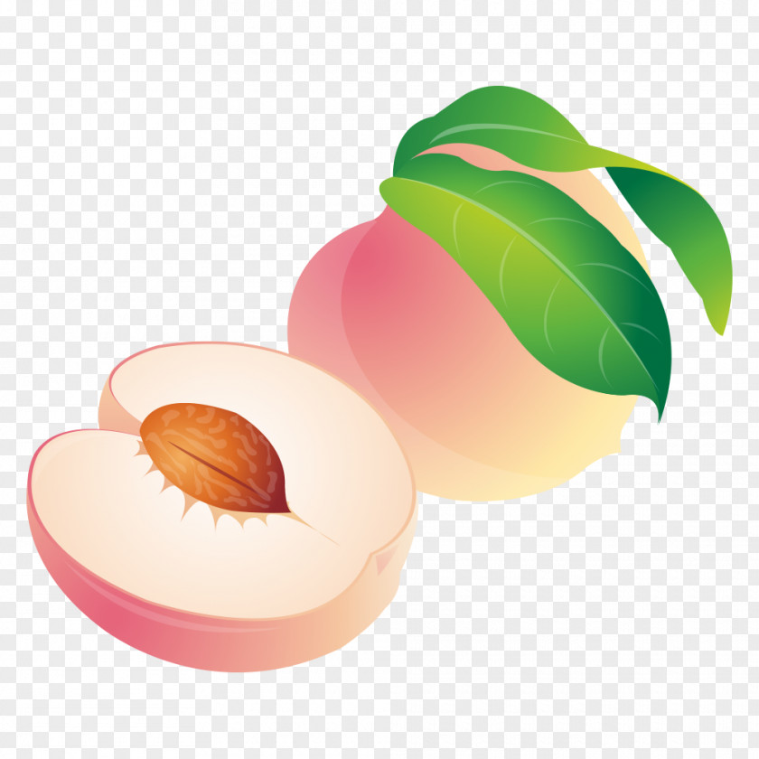 Peaches Peach Cartoon PNG