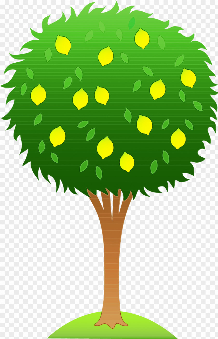 Plant Green Watercolor Tree PNG