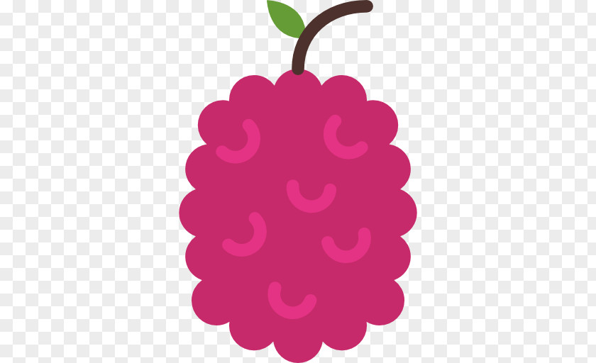 Purple Grape Fruit Icon PNG