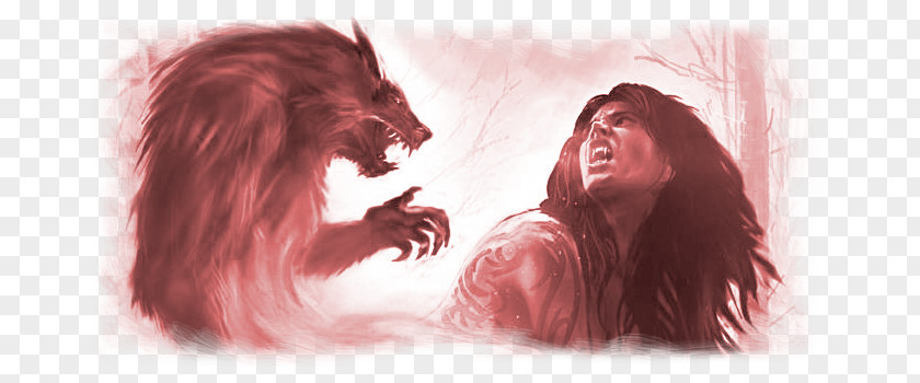 Werewolf Explore Vampires Gray Wolf Fantasy PNG