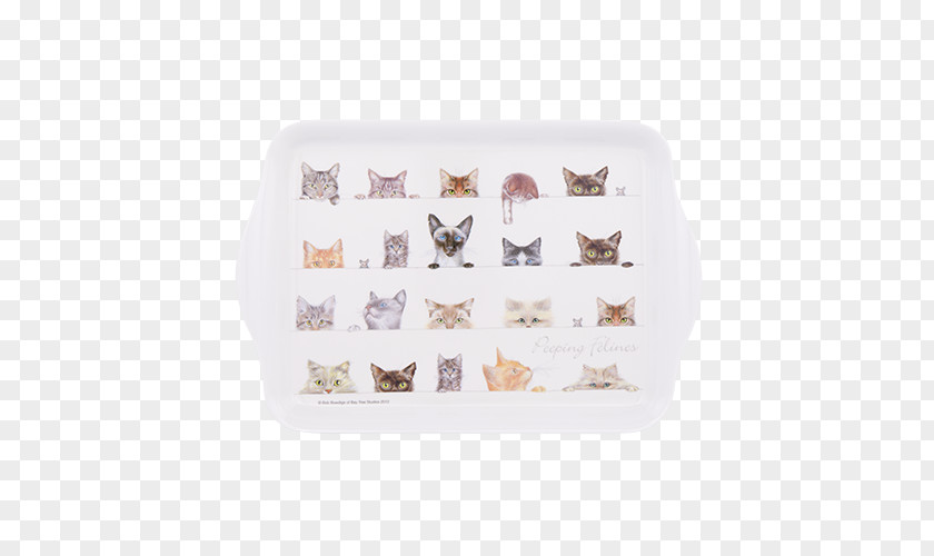 Cat Place Mats Tray Plate Tableware PNG