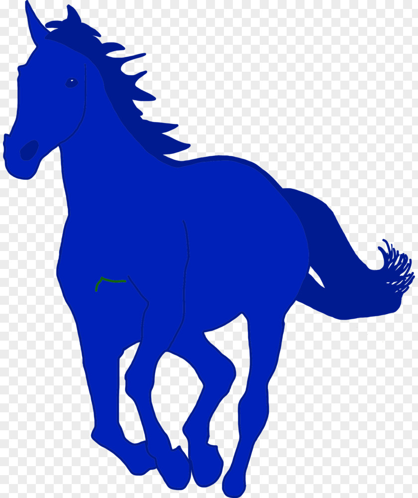 Blue Horse Riding Pony Gallop Colt Rainscald Equestrian PNG