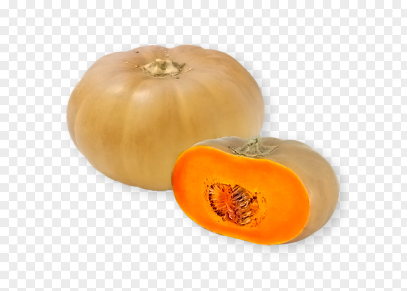 Vegetable Cucurbita Winter Squash Butternut Pumpkin Spaghetti PNG