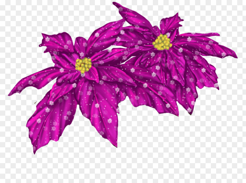 Flower PICT Clip Art PNG