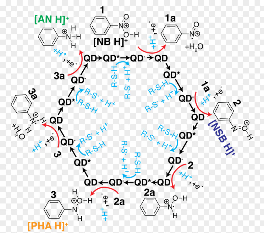 Phenylhydroxylamine Quantum Dot Photocatalysis Nitrobenzene Aniline PNG