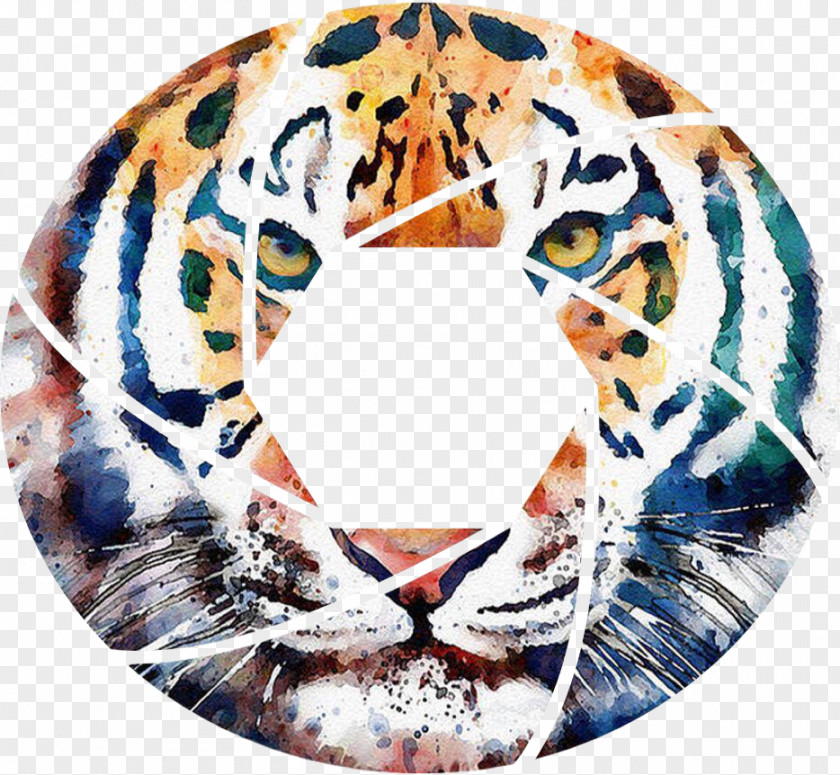 Photo Box Tiger Watercolor Painting Art PNG