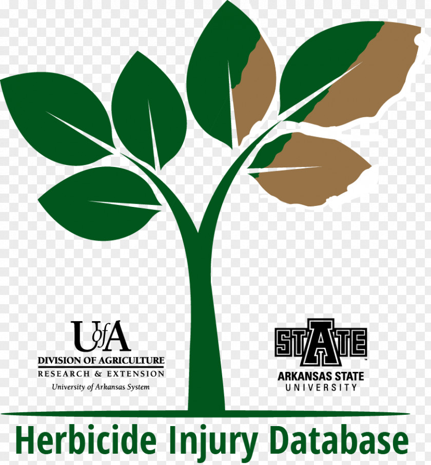 Sunflower Leaf Herbicide Crop Metribuzin Quinclorac Medical Diagnosis PNG