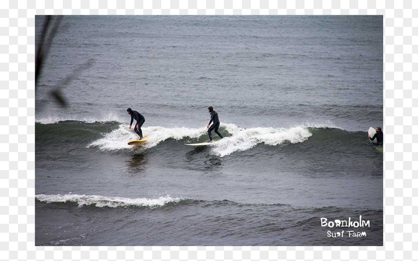 Surfing Surfboard Bodyboarding Inlet Wind Wave PNG