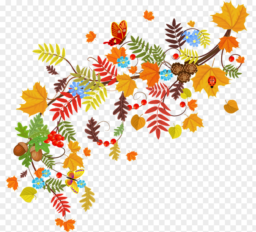 Wildflower Branch Autumn PNG