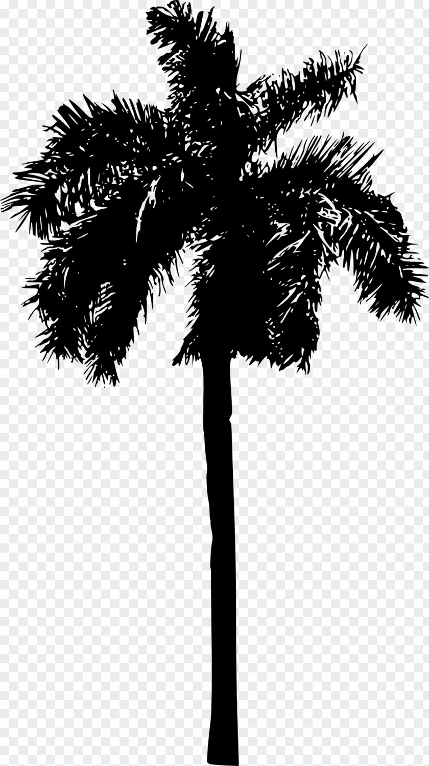 Blackandwhite Peach Palm Coconut Tree Drawing PNG