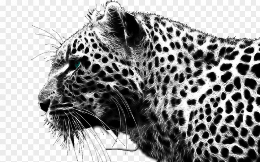Cheetah Clip Art PNG