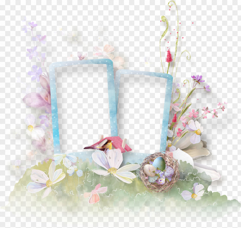 Easter Bunny Picture Frames Cadre PNG