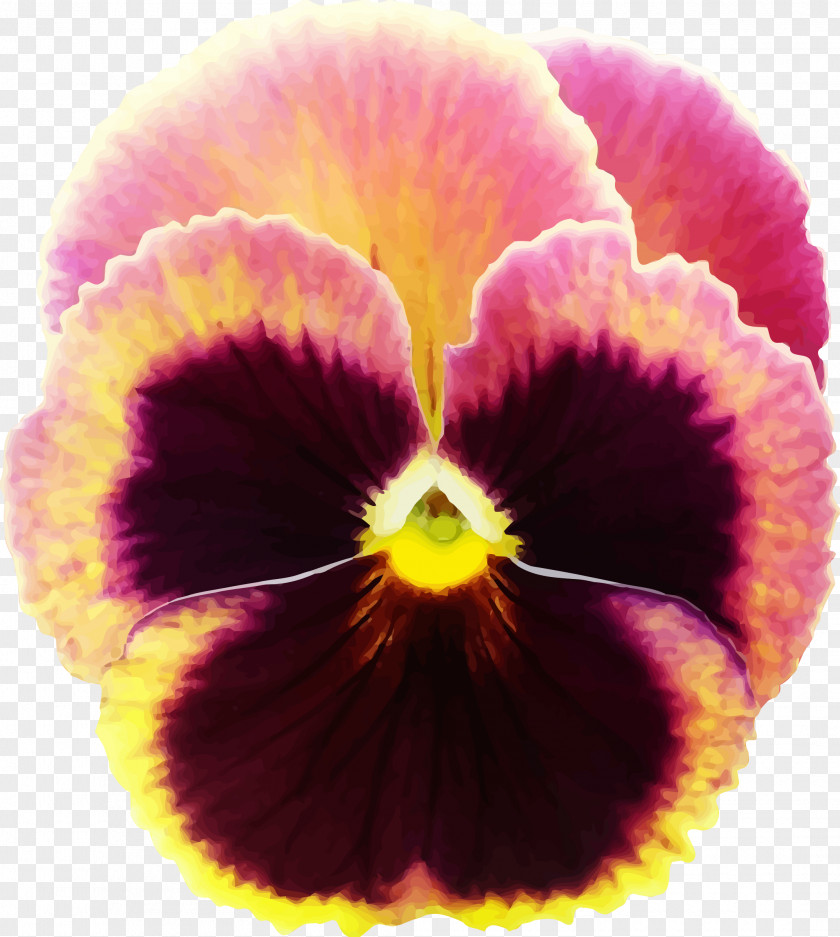 Flower Pansy Clip Art Floral Design Openclipart PNG