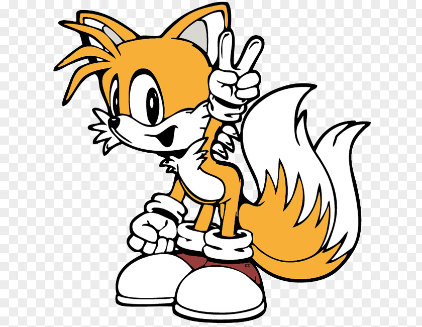 Hedgehog Cartoon Sonic Chaos Tails Knuckles The Echidna 2 PNG