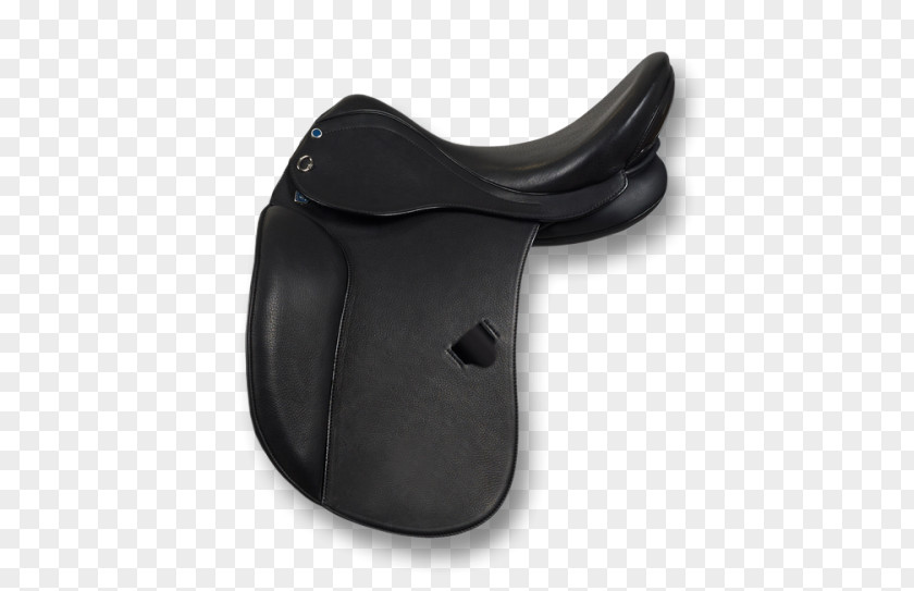 Horse Stubben North America Saddle Equestrian Dressage PNG