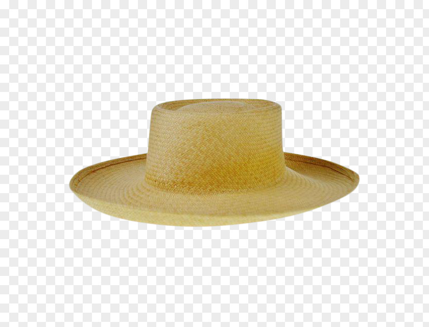 NaturalHat Panama Hat Montecristi, Ecuador Lexington Womens Wide Brim PNG