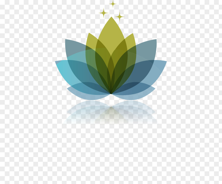 Painted Gray Green Lotus Physical Therapy And Massage Of CT, LLC Flower Grey PNG