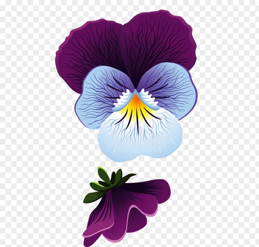 Purple Hibiscus Flower Pansy Leaf Clip Art PNG