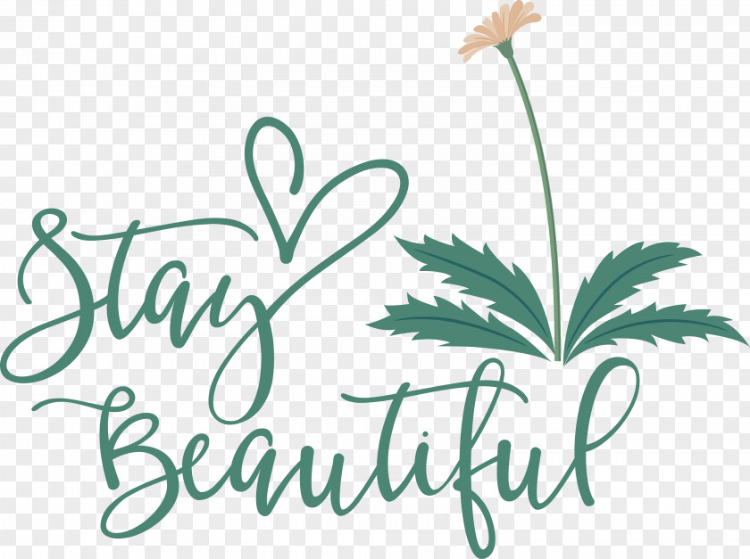 Stay Beautiful Fashion PNG