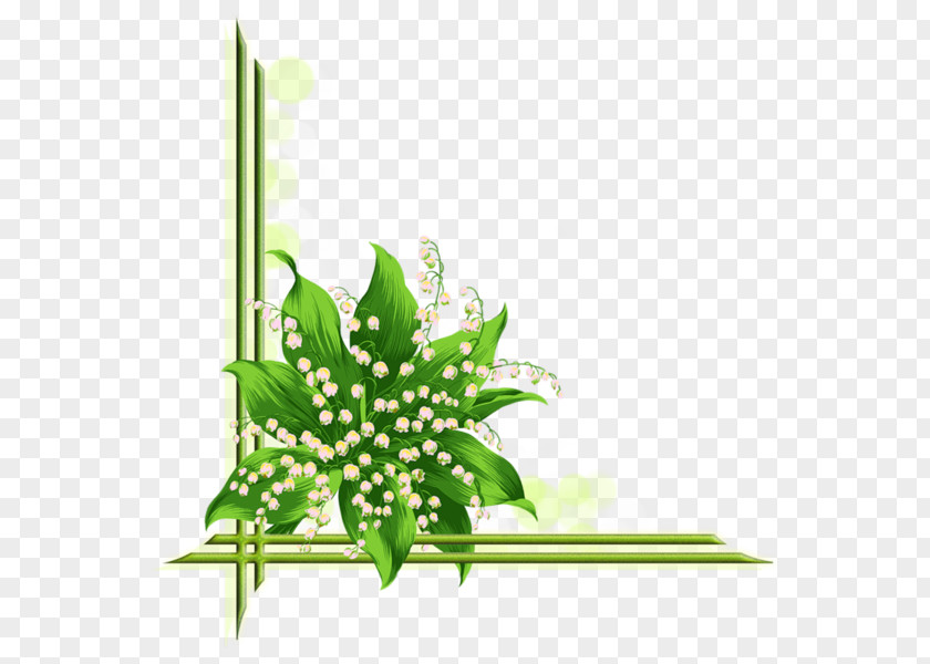 Beautiful Floral Lily Of The Valley Flower Drawing Clip Art PNG