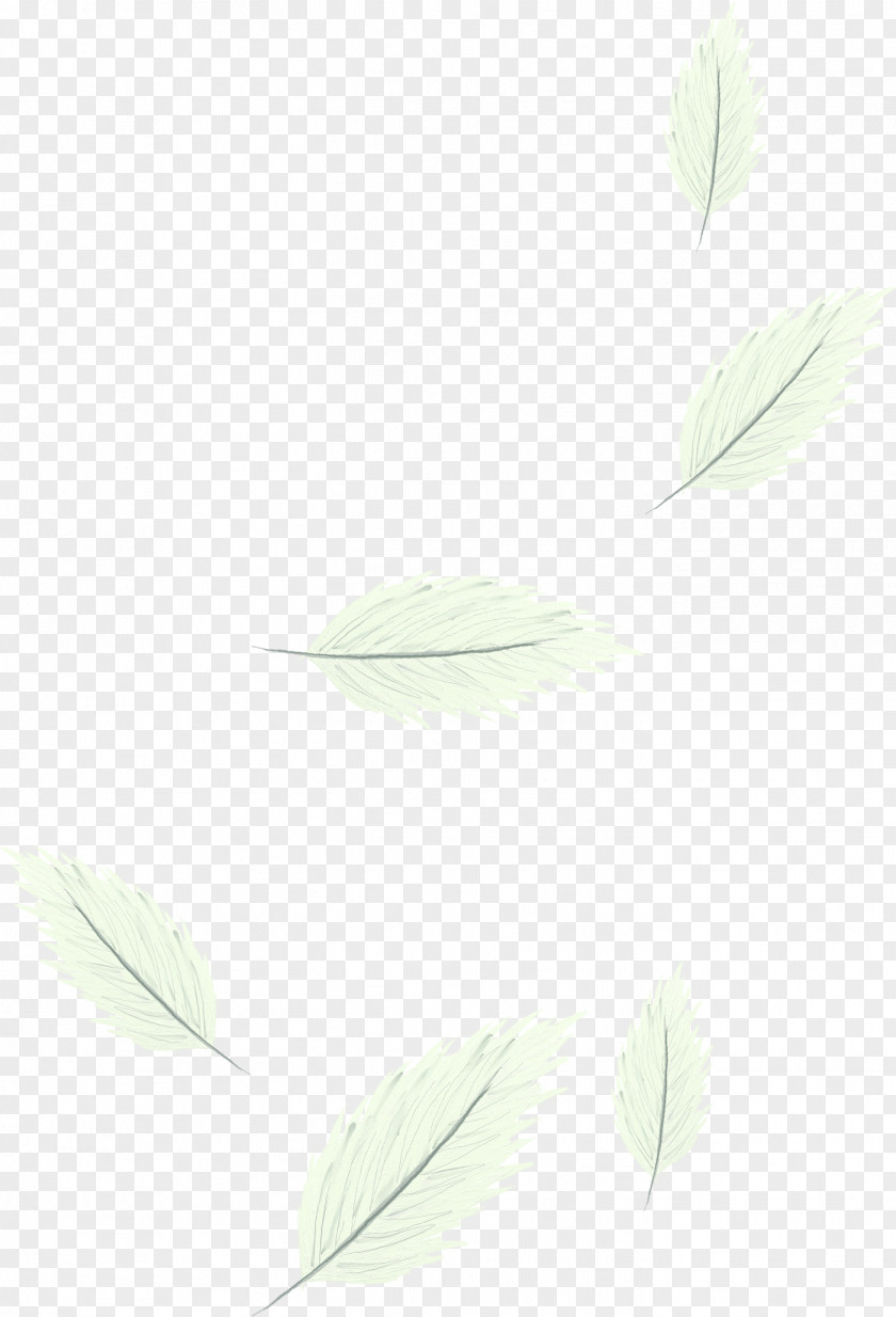 Ethereal White Feathers Angle Pattern PNG