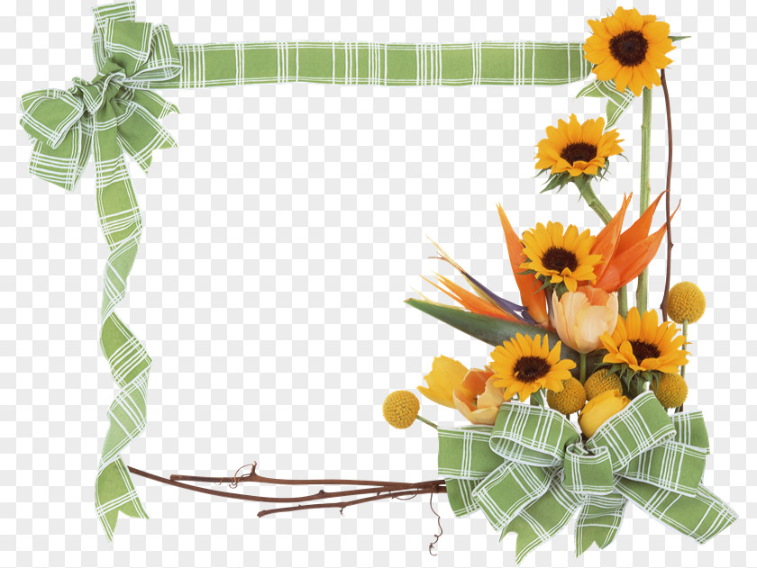 Flower Common Sunflower Picture Frames Paper PNG