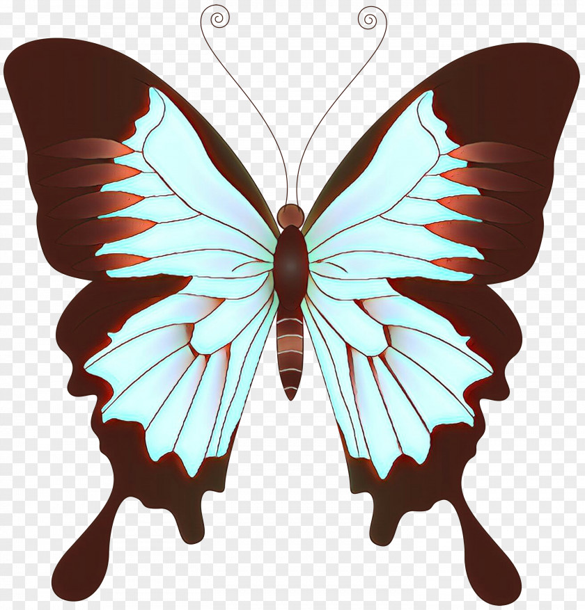 Moths And Butterflies Butterfly Insect Wing Swallowtail PNG