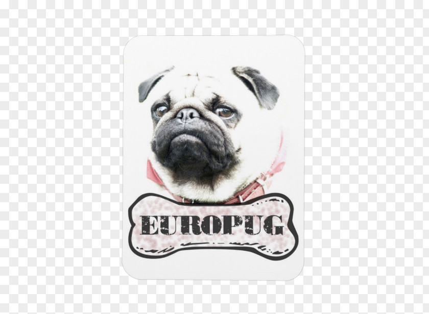 Puppy Pug Dog Breed Samsung Galaxy S5 IPhone 6 PNG