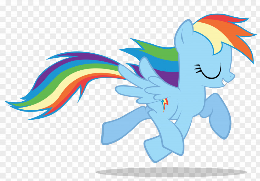 Rainbow Dash Horse Pony Fluttershy Art PNG