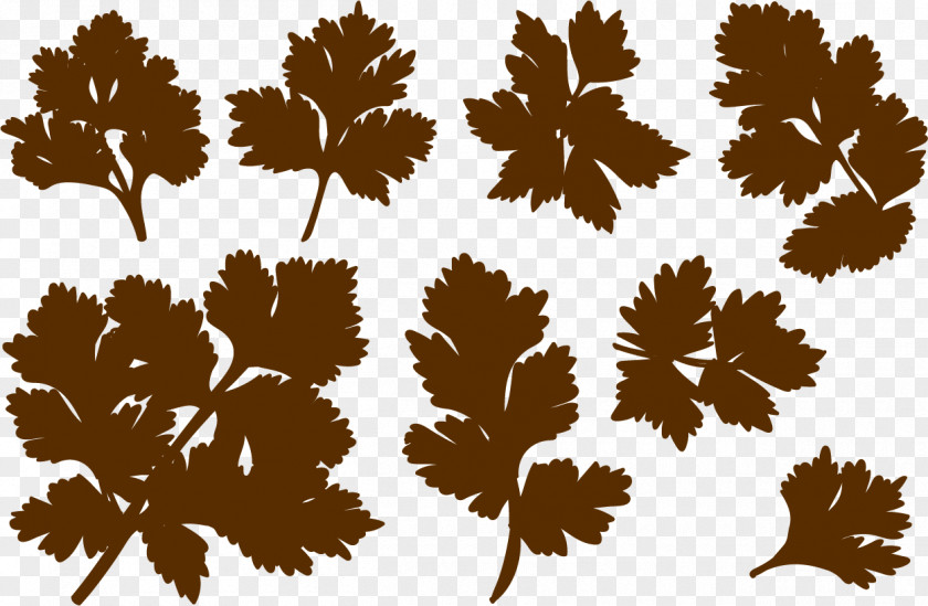 Vector Autumn Effect Euclidean Leaf PNG