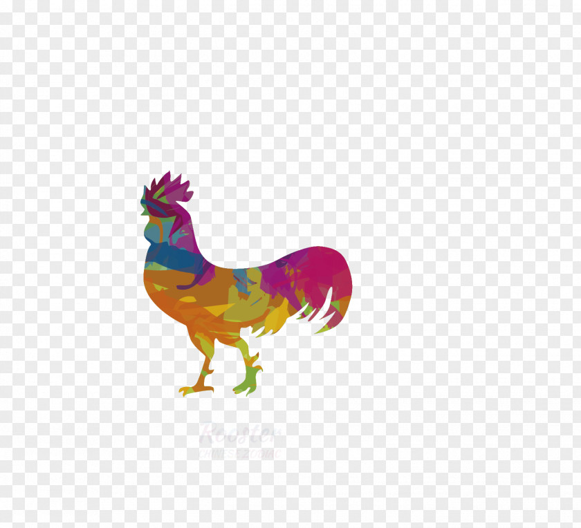 Vector Colored Rooster Chicken Euclidean PNG